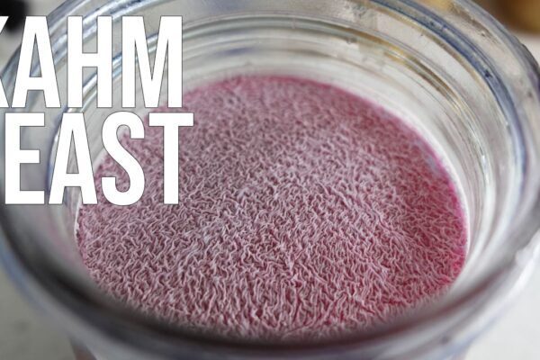 Kahm yeast