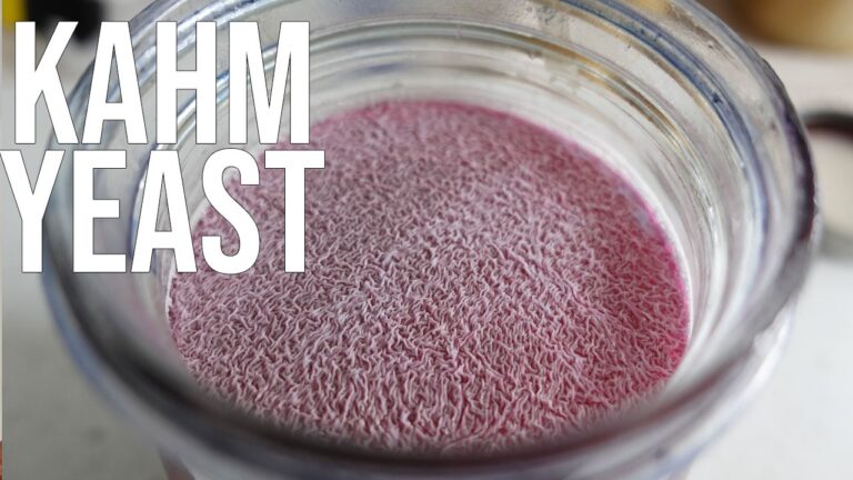 Kahm yeast